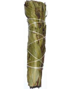 4" Eucalyptus smudge stick 4" Eucalyptus smudge stick