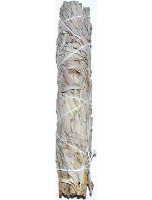9" White Sage smudge stick