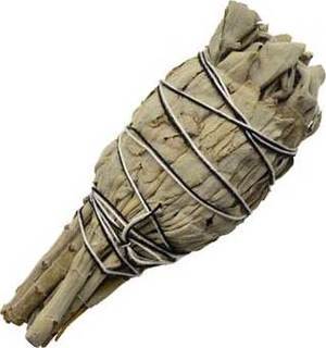 California White Sage Smudge Stick 4"