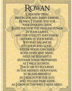 Rowan Poster Rowan Poster
