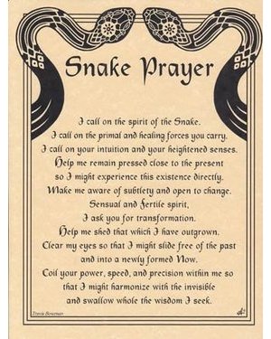 Snake Prayer Poster Snake Prayer Poster