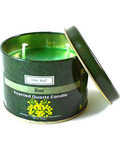 Ruda (Rue) quartz tin candle