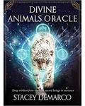 Divine Animals oracle by Stacey Demarco