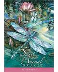 Spirit of the Animals oracle by Jody Bergsma