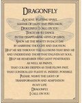 Dragonfly Poster