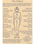 Chakras Poster