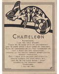 Chameleon Prayer Poster
