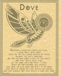 Dove Prayer Poster