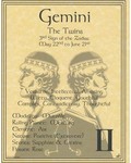 Gemini Poster