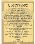 Elephant Poster