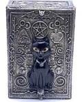 3 3/4"x 5 1/2" Cat Tarot box