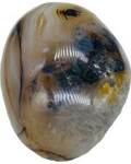 Agate, Dendritic palm stone