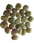 1 lb Aragonite, Green Tumbled Stones