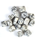 1 lb Jasper, Dalmation tumbled stones