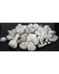 1 Lb Rainbow Moonstone Tumbled Stones