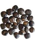 1 lb Stromatolite (onyx Brown) Tumbled Stones