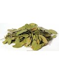 1 Lb Bearberry (Uva-Ursi) Whole