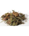 Red Clover 1oz