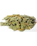 Eucalyptus Cut 1oz