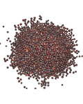 1 Lb Brown Mustard Seed