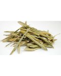 Olive Leaf whole 1oz Olea europaea