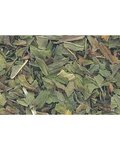 Peppermint Leaf Cut 1oz