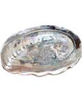 4" Abalone Shell incense burner (limited quanity)