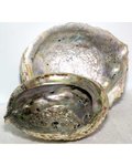 5"-6" Abalone Shell Incense Burner