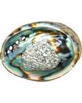 4"-5" Abalone Shell Incense Burner