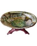 5"- 6" Abalone Shell incense burner with stand