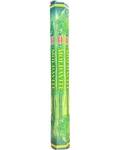 Moldavite HEM stick 20 pack