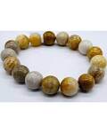 12mm Agate, Fossilized Coral bracelet
