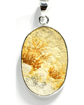 Russian Dendritic Agate pendant