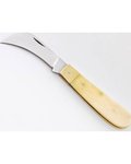 Boline 7" White Bone Athame