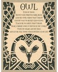 Owl Poster