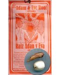 Adam & Eve Roots (One Pair)