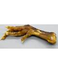 Chicken Feet