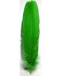 (set of 10) Green feather 12"