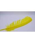 (set of 10) Yellow feather 12"