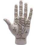 9 1/2" Palmistry Hand