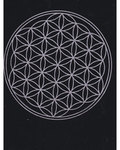 Circle in Circle Map