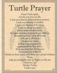 Turtle Prayer Poster