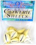 Cowrie Shells (Concha De Caliri) consecrated