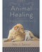 Animal Healing by Niki J Senior