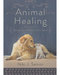Animal Healing by Niki J Senior Animal Healing by Niki J Senior