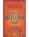 Beginner's Guide to Divination Beginner