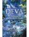 Deva, our Relationship with the Subtle World by Jacquelyn Lane