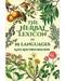 Herbal Lexicon in 10 Languages by Kate Koutrouboussis