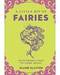Little Bit of Fairies (hc) by Elaine Clayton
